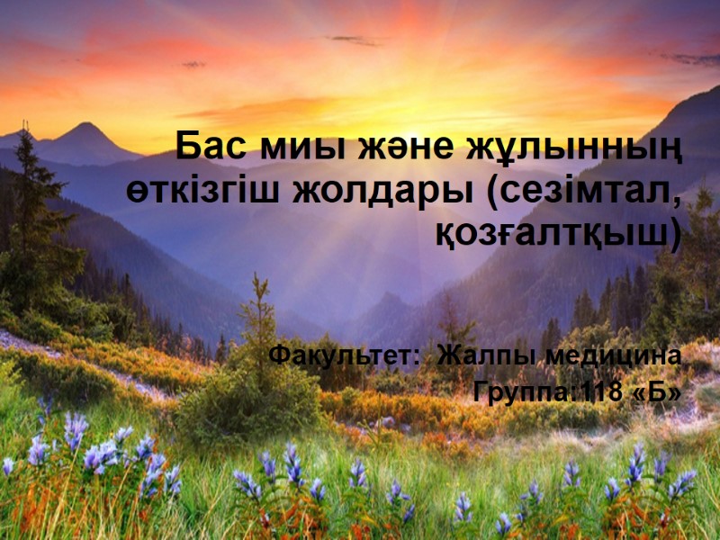 Бас миы және жұлынның өткізгіш жолдары (сезімтал, қозғалтқыш)    Факультет:  Жалпы